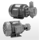 Fixed Displacement Vane Pumps & Motor Set